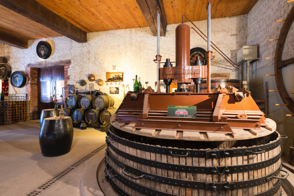 Visite Oenotouristique