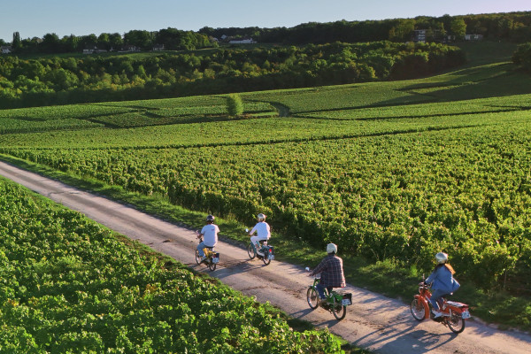 Virée en Mobylette au cœur du vignoble