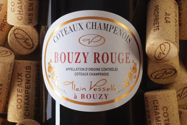 Dégustation et convivialité : on vous attend à Bouzy !
