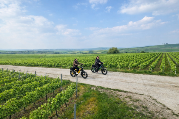 Visite guidée des vignobles champenois en E-Bike Fat