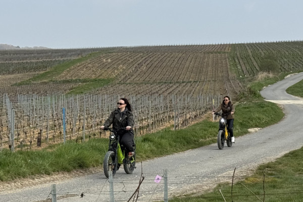 Visite guidée des vignobles champenois en E-Bike Fat