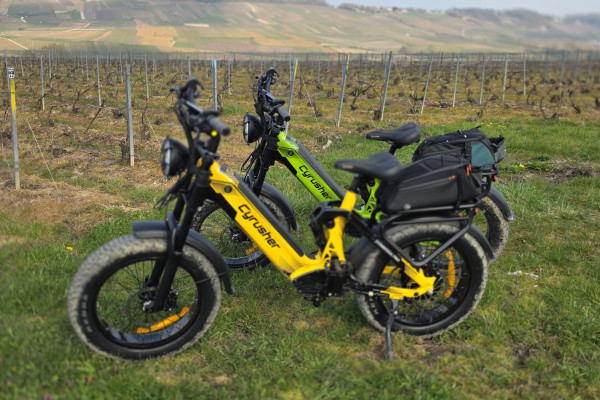 Visite guidée des vignobles champenois en E-Bike Fat