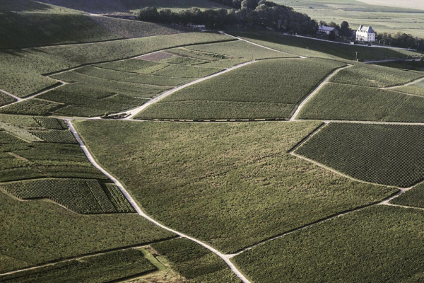Masterclass 2 – Les secrets du Chardonnay FR