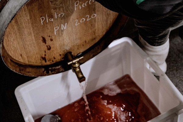 Masterclass 3 – Les secrets du Pinot Noir FR