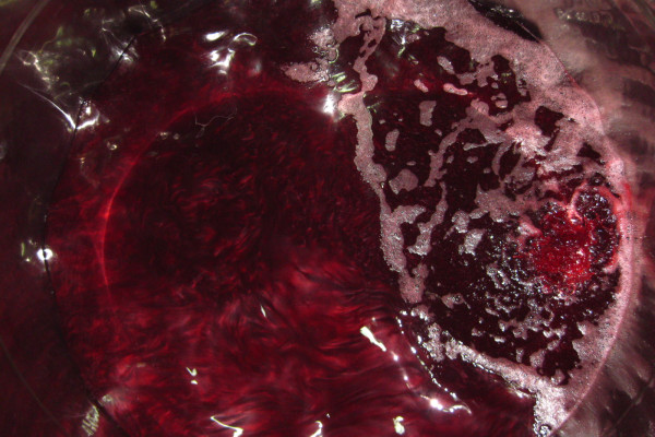 Masterclass 3 – Les secrets du Pinot Noir FR