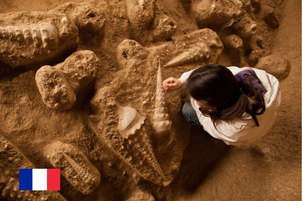 La Cave aux Coquillages, la cave la plus insolite de Champagne