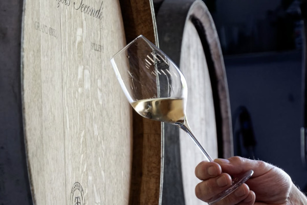 Masterclass 3 – Les secrets du Pinot Noir FR