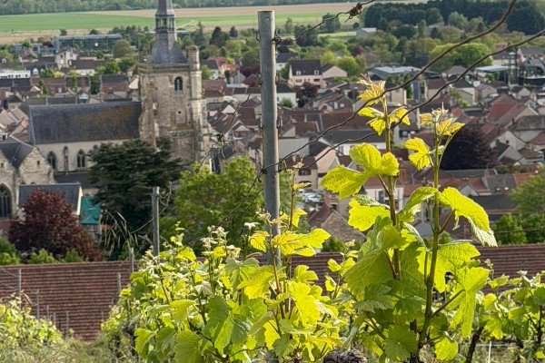 Balade gourmande à Aÿ-Champagne