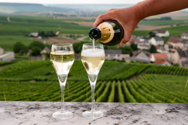 Circuit L&rsquo; Echappée Nature 100% Vignerons depuis Epernay