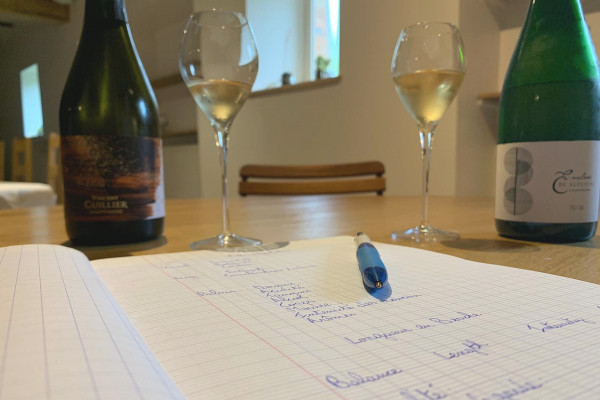 Vignobles en Scène : Atelier « Initiation à la dégustation »