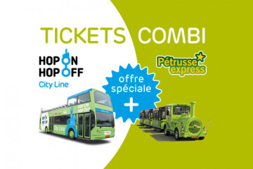Ticket Combi: Hop On Hop Off City Line & City Train