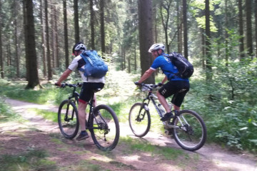 pegasus fahrrad katalog SOLERO E7F rot | 500WH | E-Bike Damen City | 2025 Met Crackerjack Mtb-helm Gelb Medi-Inn Nitril blue soft Einmalhandschuhe puderfrei Color:CLOVE