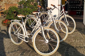 Onlinebuchung: Fahrräder und E-Bikes - Fahrradverleih am Baldeneysee