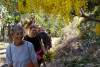 Mandelieu — Mimose, gruppo privato