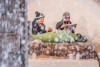 Pernottamento romantico in igloo