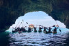 Kayak Tour Leuca e le Grotte marine di Ponente