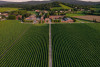 Dalla Vigna al Bicchiere | Tenuta Villanova