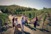 CADIA - Degustazione Full