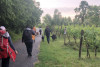 Wine xperience - nel cuore della Valtenesi