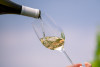 BASTIANICH - TOUR CON DEGUSTAZIONE DI 6 VINI