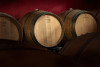 Le Ginestre - Visita e degustazione tradizionale di 4 vini.