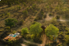 LA CASA SULL' ALBERO NELLA SAVANA - SUD AFRICA