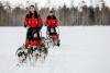 SAFARI CON GLI HUSKY NELLA TERRA DI BABBO NATALE - FINLANDIA