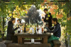 Visita cantine e degustazione
