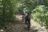 MOUNTAIN BIKE TOUR NELLA RAU FOREST - TANZANIA