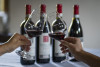 Dacapo - I tre volti della Barbera