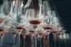 Massimo Rivetti - DEGUSTAZIONE DI CINQUE VINI NEL CENTRO STORICO DI NEIVE