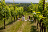 Spolert Winery - Pic-nic in vigna - Prepotto