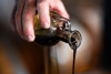 PATENTINO ASSAGGIATORE DI BALSAMICO MIDOLINI - LIVELLO I