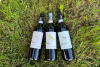 Cà di Cairé - Degustazione vini SSA