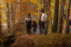 FOLIAGE AL CALAR DEL SOLE | SAURIS