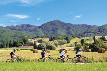 Bike & Food