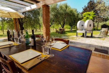 Visita al Frantoio e Light Lunch con Degustazione di Olio sul Lago di Garda