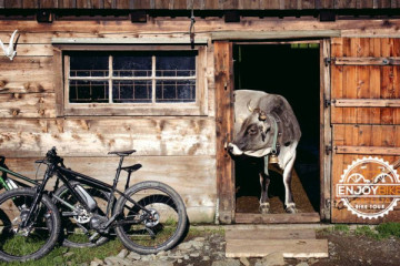Tour Enogastronomico in E-Bike