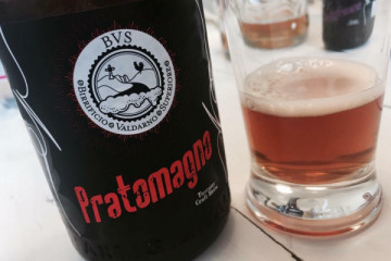 Degustazione birra artigianale