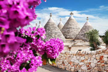 Mezza giornata nella città dei trulli con trasferimento in minivan