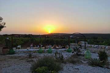 Cena in vigna e degustazione di vini sotto le stelle