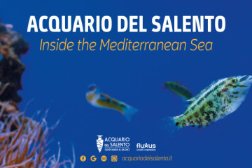Acquario del Salento ingresso con visita guidata
