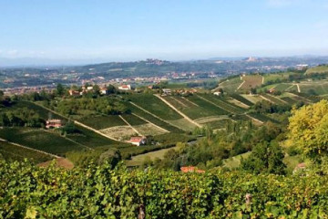 ROBERTO ABELLONIO - Essenza di Langa