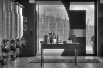 Cantina Cecilia Monte