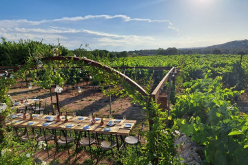 Degustazione di vino e passeggiata in vigna