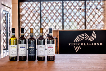 Vinicola Arno