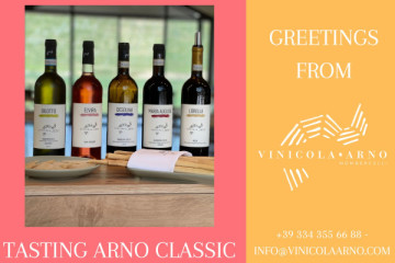 Vinicola Arno