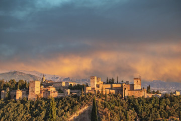 Visita guidata dell'Alhambra: Palazzo Carlos V, foresta e mura.