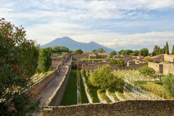 Scavi di Pompei + Sosta libera a Napoli