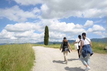 Trekking in Toscana e tour del vino